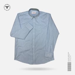 Light Blue Stripe Shirt view 0